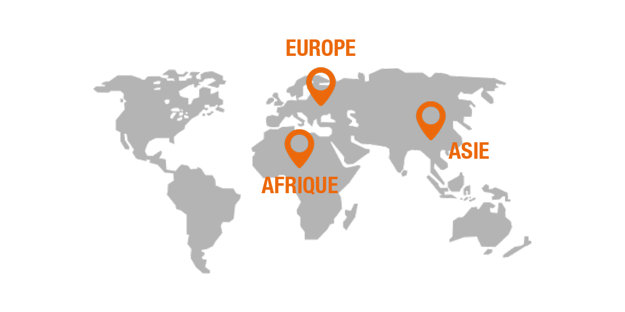 Nos fournisseurs se trouvent en Afrique, Europe et Asie.
