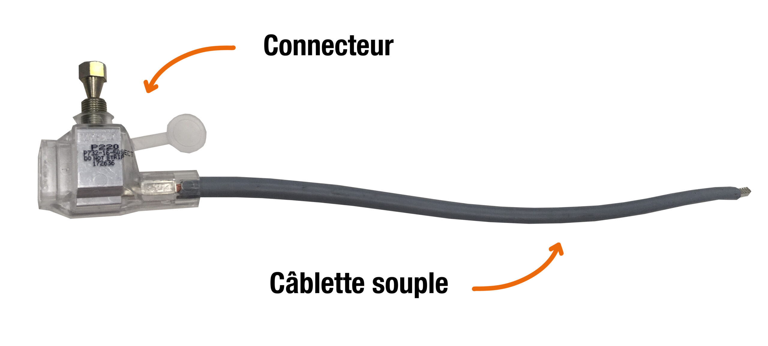 Le schéma montre la partie connecteur et la partie câblette souple d'un EBCP, utilisé pour le raccordement au réseau électrique.